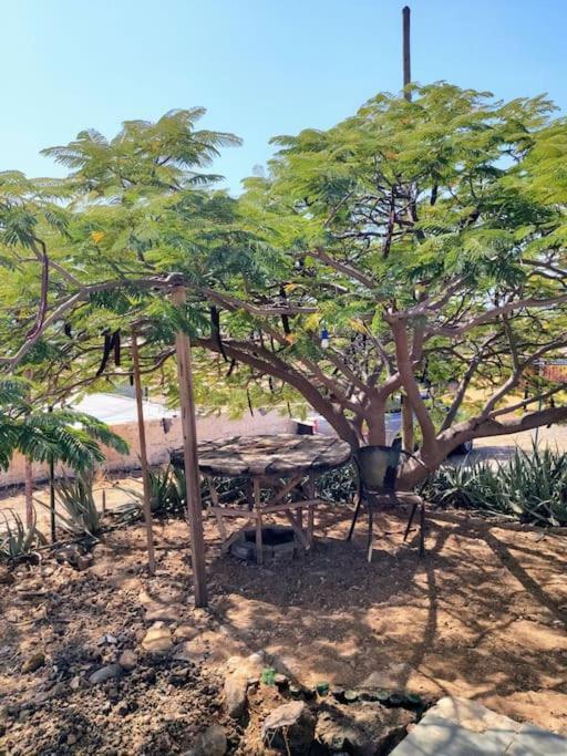 Casa Aloe Vera - Private House W/ Free Breakfast Cidade Velha Exterior foto